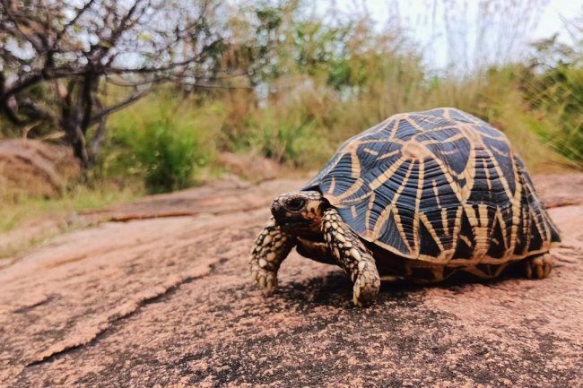 क — सपनों का मतलब और उनका फल