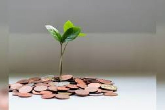 जिस घर में होती हैं ये 5 चीजें, वहां पर हमेशा रहती है धन की कमी