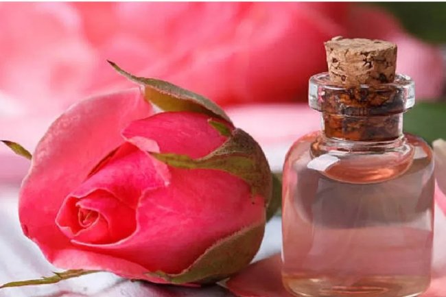 गुलाब के तेल के फायदे और इसके दुष्प्रभाव