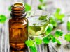 नागदौना के तेल के फायदे