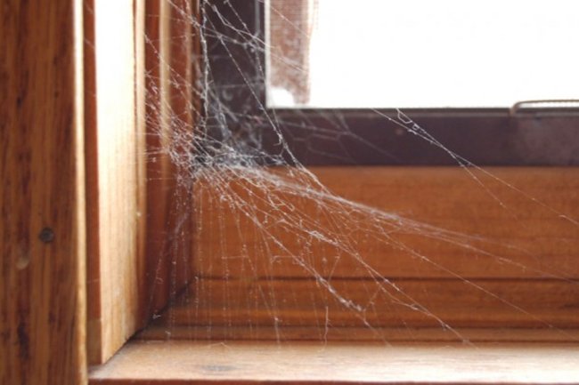 लाइफ में बढ़ रही है नेगेटिविटी, आजमाएं इन उपायों को, महसूस करेंगे ऊर्जा और आनंद