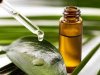 टी-ट्री (Tea Tree) ऑयल के फायदे एवं नुकसान