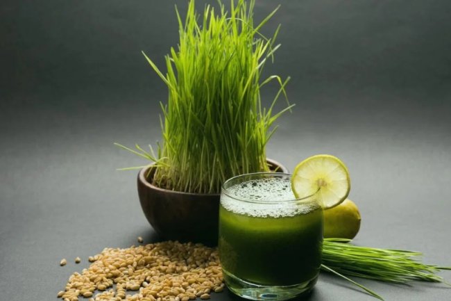गेहूं के जवारे के फायदे और नुकसान