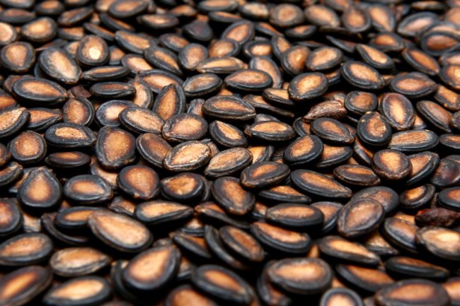 तरबूज के बीज के फायदे और नुकसान