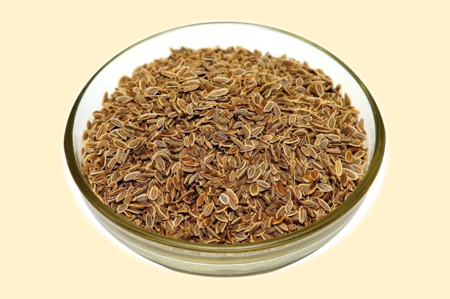 सुआ के फायदे और नुकसान