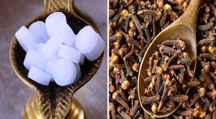 कपूर और लौंग से लाएं घर में सुख, शांति और समृद्धि