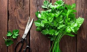 अजमोद (Parsley) के फायदे और नुकसान
