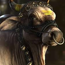 नंदी – प्रतीक्षा में स्थित ध्यान का प्रतीक