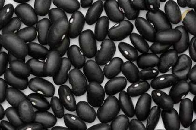 काले सेम के 15 फायदे, उपयोग और नुकसान