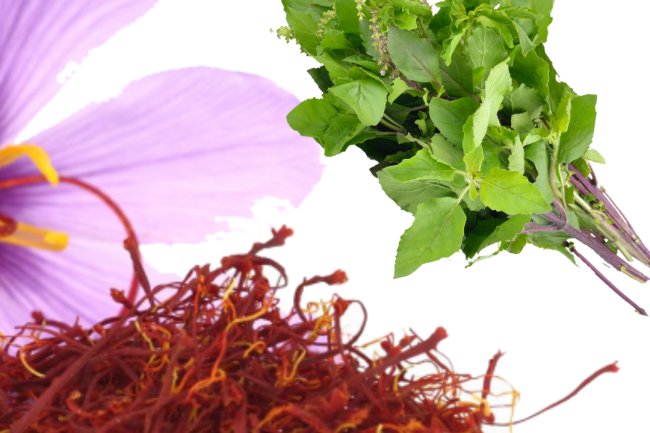 तुलसी और केसर का इस्तेमाल, देगा हेल्थ और ब्यूटी के 5 लाभ